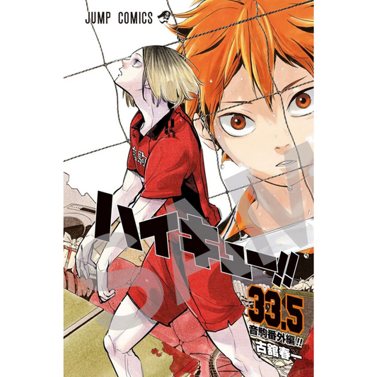 Haikyuu!! Vol 33.5 Portada Variante