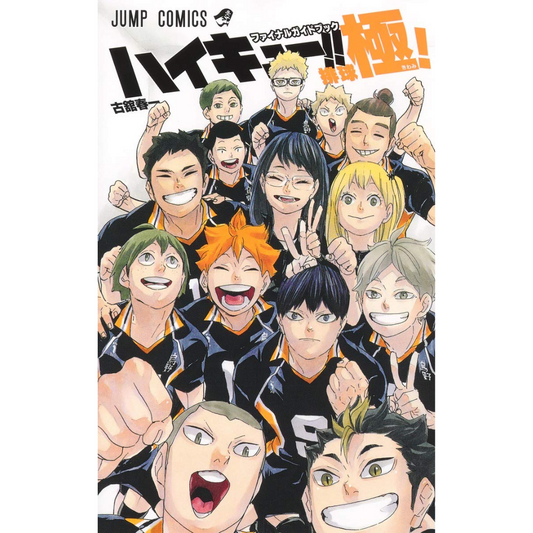 Haikyu !! Guía final de voleibol